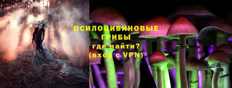 как найти закладки  Макаров  Псилоцибиновые грибы Magic Shrooms 